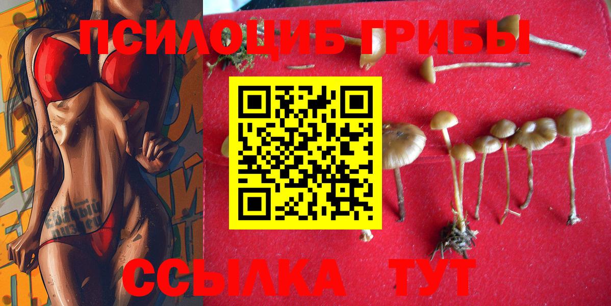 Александров  Псилоцибиновые грибы прущие грибы  Вход с VPN 